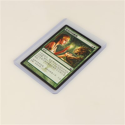 Toploaders korthylster